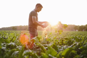 Agriculture durable : le bonheur du champ à l’assiette ! Agriculture durable