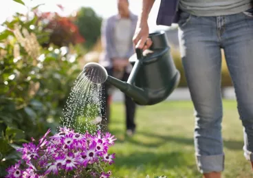 Les 10 règles d’or de l’arrosage Une femme arrose les plantes de son jardin