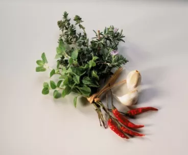 Herbes et plantes aromatiques : mettez-vous au parfum ! Herbes et plantes aromatiques : mettez-vous au parfum !