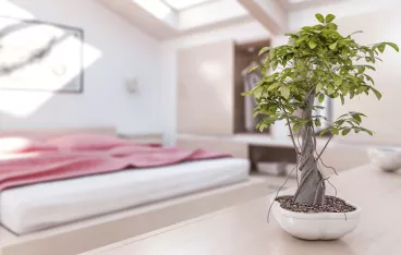 Le feng shui au chevet de votre sommeil !