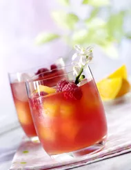 Infusion aux fruits rouges avec Eléphant®