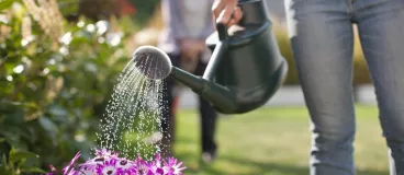Les 10 règles d’or de l’arrosage Une femme arrose les plantes de son jardin