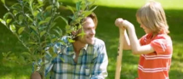Astuces vertes pour planter un arbre