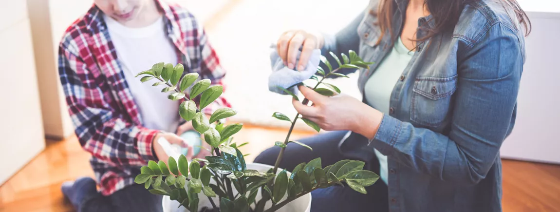 Le bonheur à la maison Une mère et son fils entretiennent une plante.