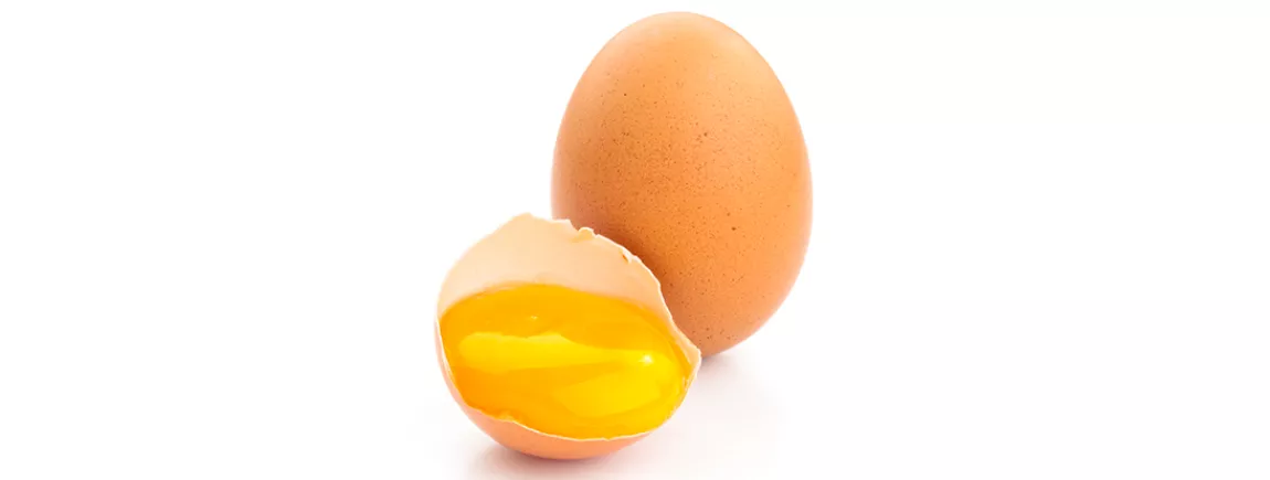 tache de jaune d'oeuf jaune d'oeuf