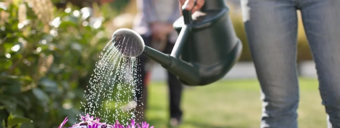 Les 10 règles d’or de l’arrosage Une femme arrose les plantes de son jardin