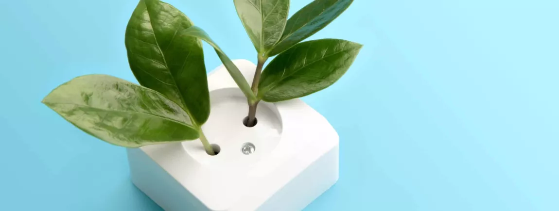 Éco-design, la tendance déco est au vert prise ecologique