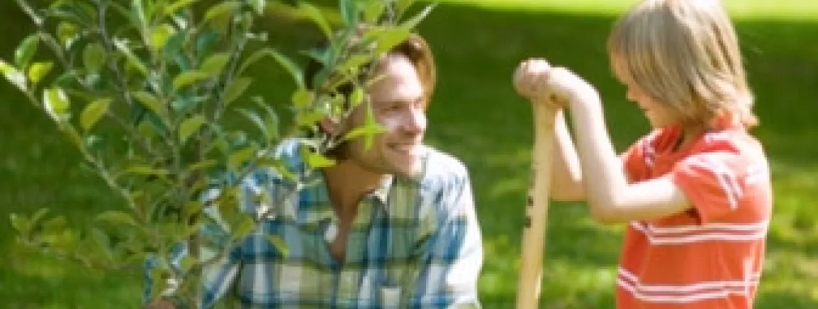 Astuces vertes pour planter un arbre Astuces vertes pour planter un arbre