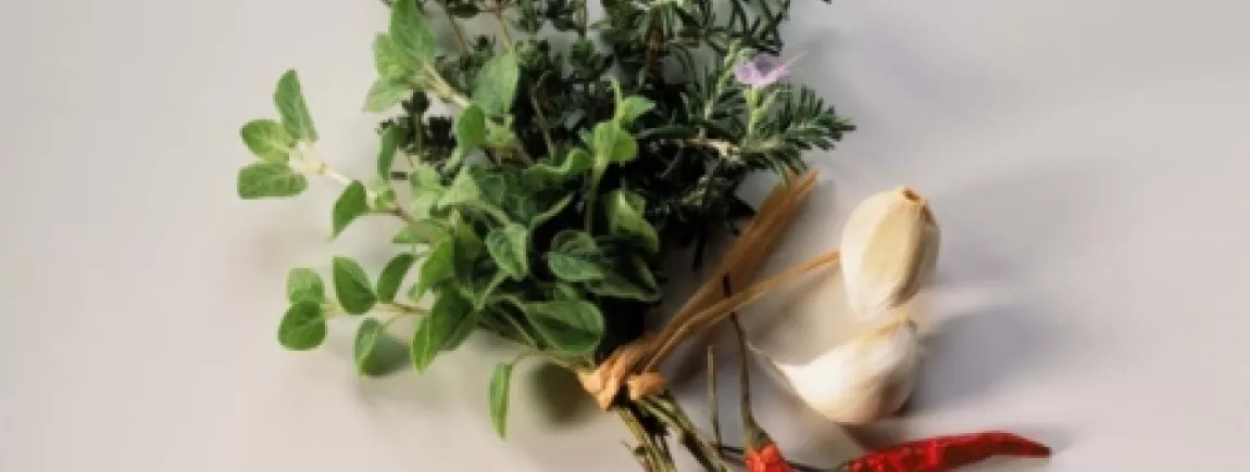 Herbes et plantes aromatiques : mettez-vous au parfum ! Herbes et plantes aromatiques : mettez-vous au parfum !