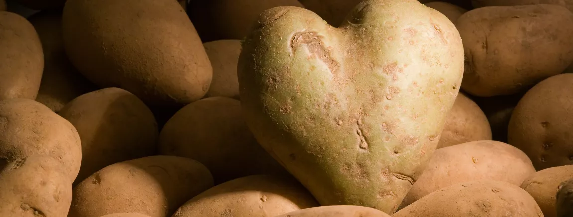 La pomme de terre, la reine de la variété ! La pomme de terre, la reine de la variété !