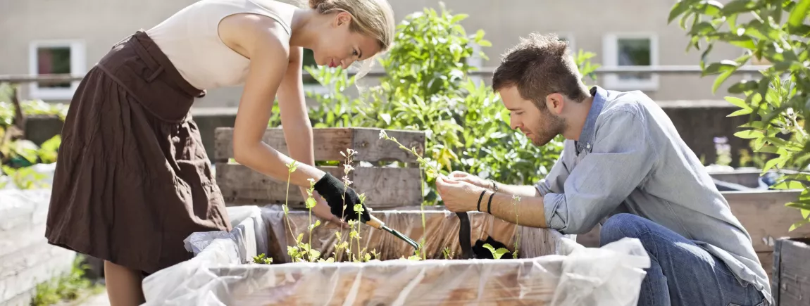 Tous dehors pour jardiner ! Couple qui profite du jardin pour pratiquer un peu de jardinage